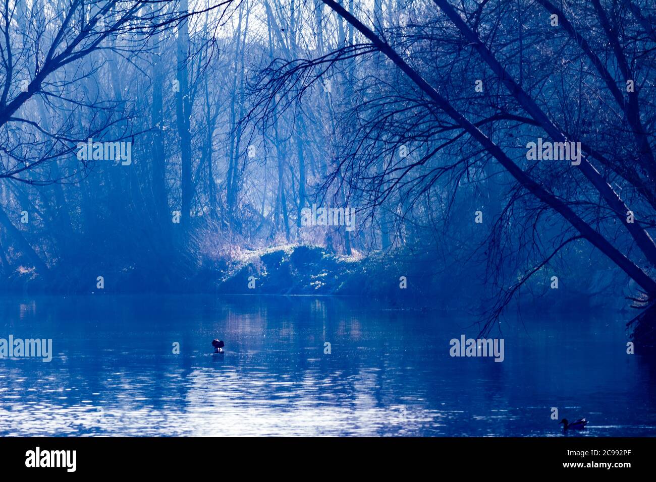 Paesaggio tenebroso nel fiume Ter, Catalogna, Spagna Foto Stock