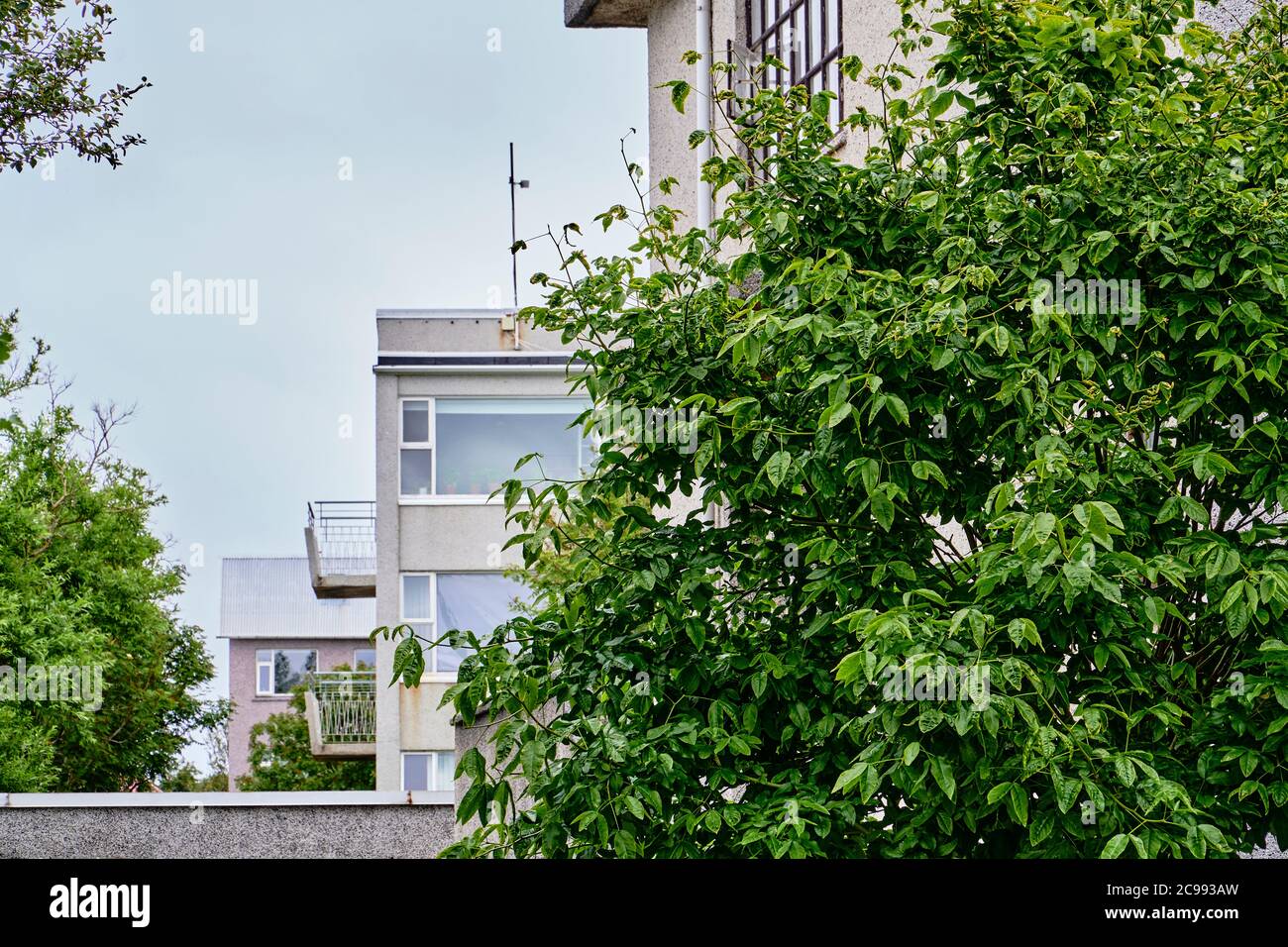 Tutti i giorni dettagli architettonici e giardini nel pittoresco Melahverfi degli anni '40, un neigborhood di classe media a Reykjavik Ovest, Islanda Foto Stock