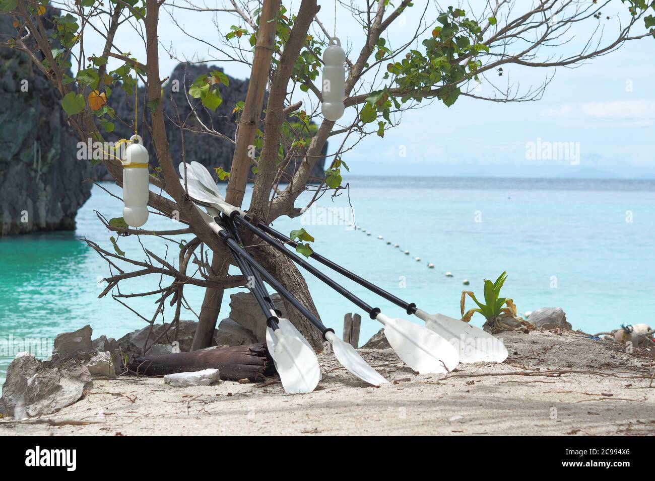 Il White Kayak paddle posto contro l'albero sul mare e sullo sfondo della spiaggia. Foto Stock