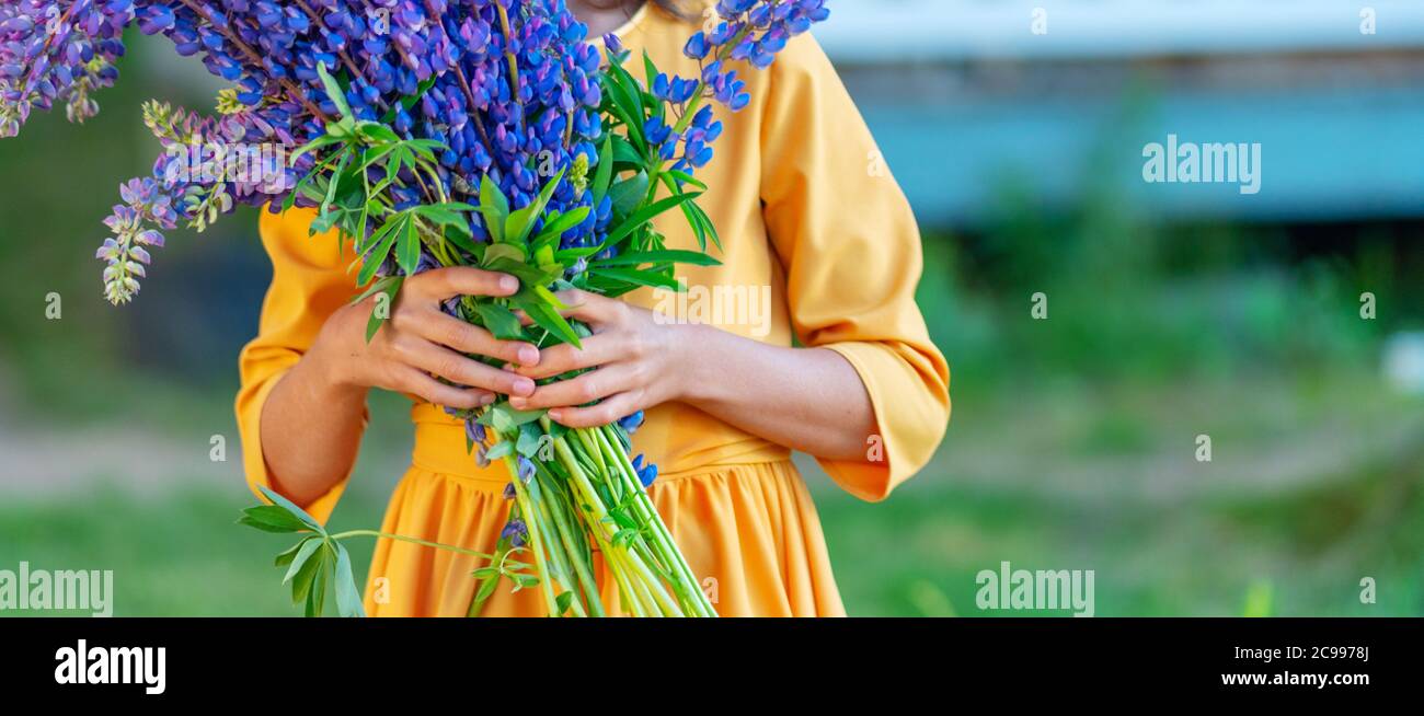 La ragazza tiene un bel bouquet grande di lupino nelle sue mani. Giorno estivo soleggiato. Foto Stock