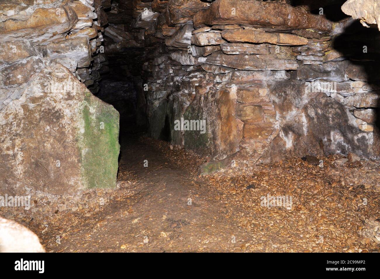 All'interno di una delle camere nel Stoney Littleton Neolitico lungo Barrow. Questa tomba a sette chambered vicino a Wellow in Somerset è stato costruito circa 3800 AC e. Foto Stock