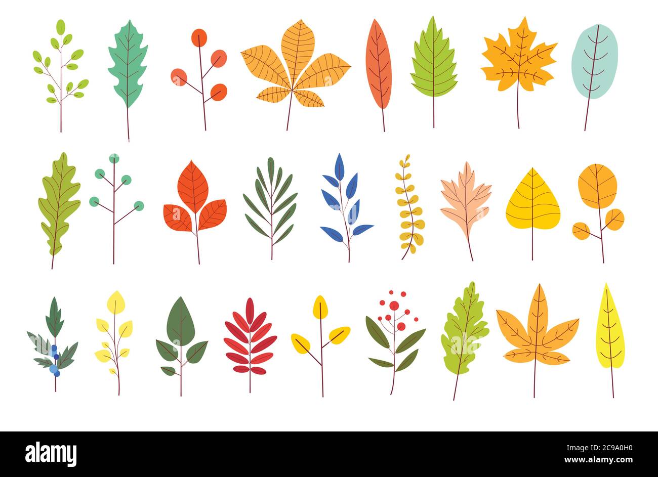 Set di foglie d'autunno colorate. Foglia di giardino autunnale gialla in stile semplice cartone animato piatto. Botanica vettore piante forestali. Illustrazione Vettoriale