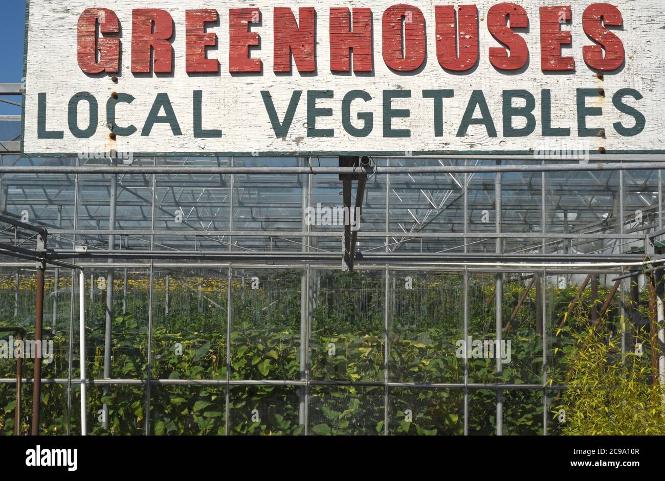 Un segno che fa pubblicità alle verdure locali ad una serra sull'isola di Vancouver, British Columbia, Canada Foto Stock