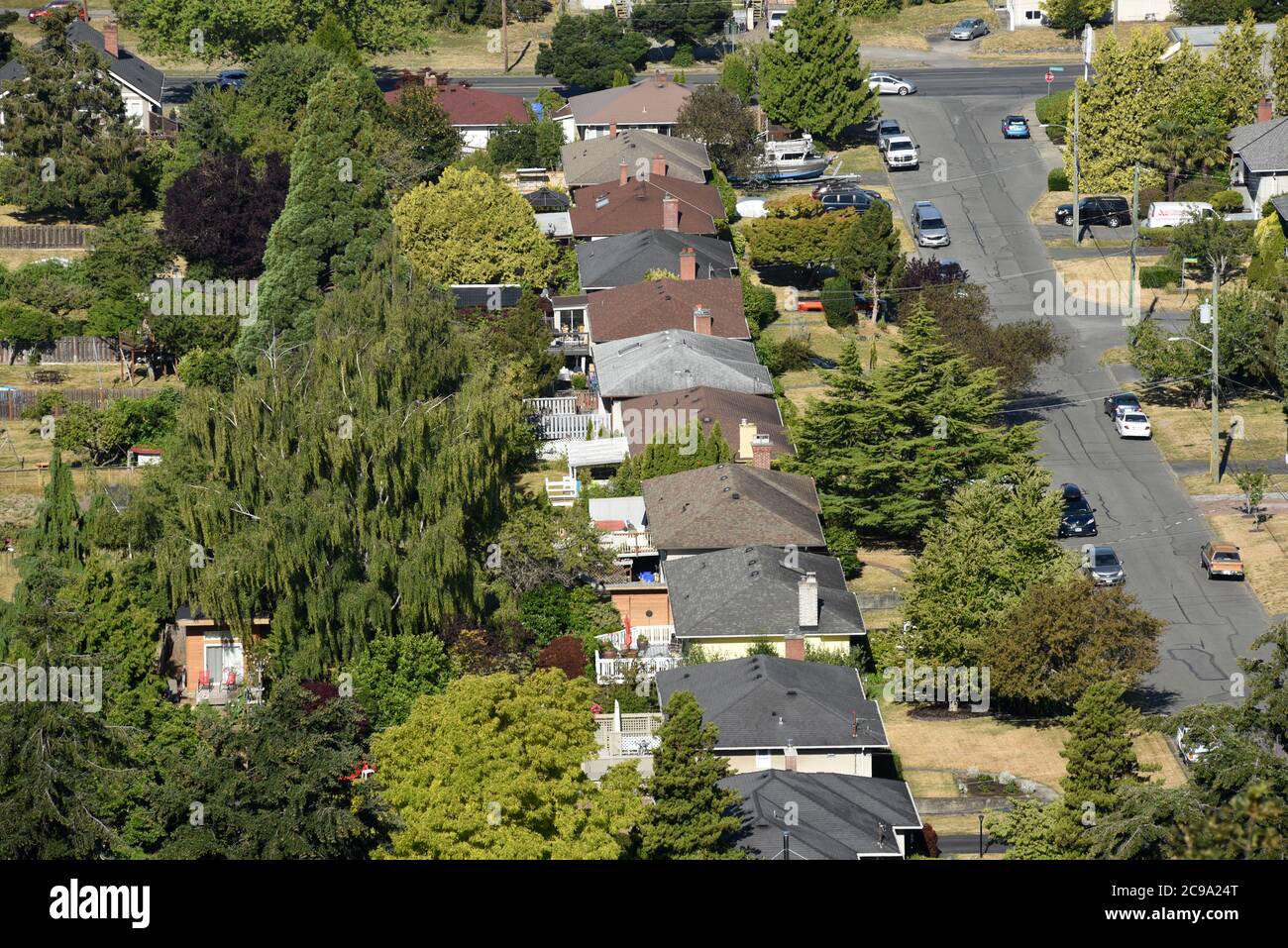 Strade, case, veicoli e alberi in un quartiere suburbano a Saanich, British Columbia, Canada sull'isola di Vancouver. Foto Stock