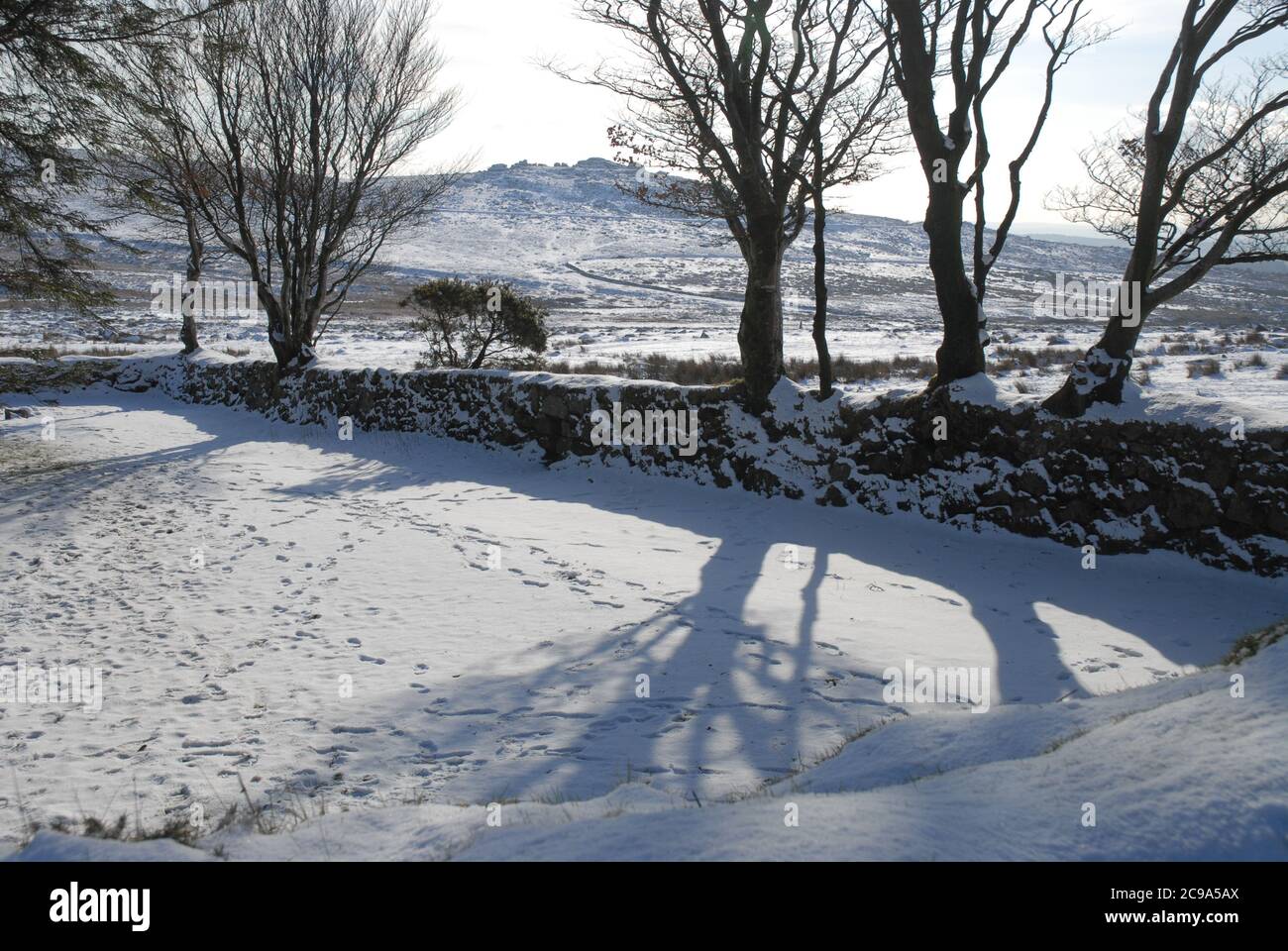 Alberi retroilluminati e muro di pietra arenaria nella neve al Four Winds Car Park, una storica scuola abbandonata, vicino a Merrivale, Dartmoor National Park, Devon, Eng Foto Stock