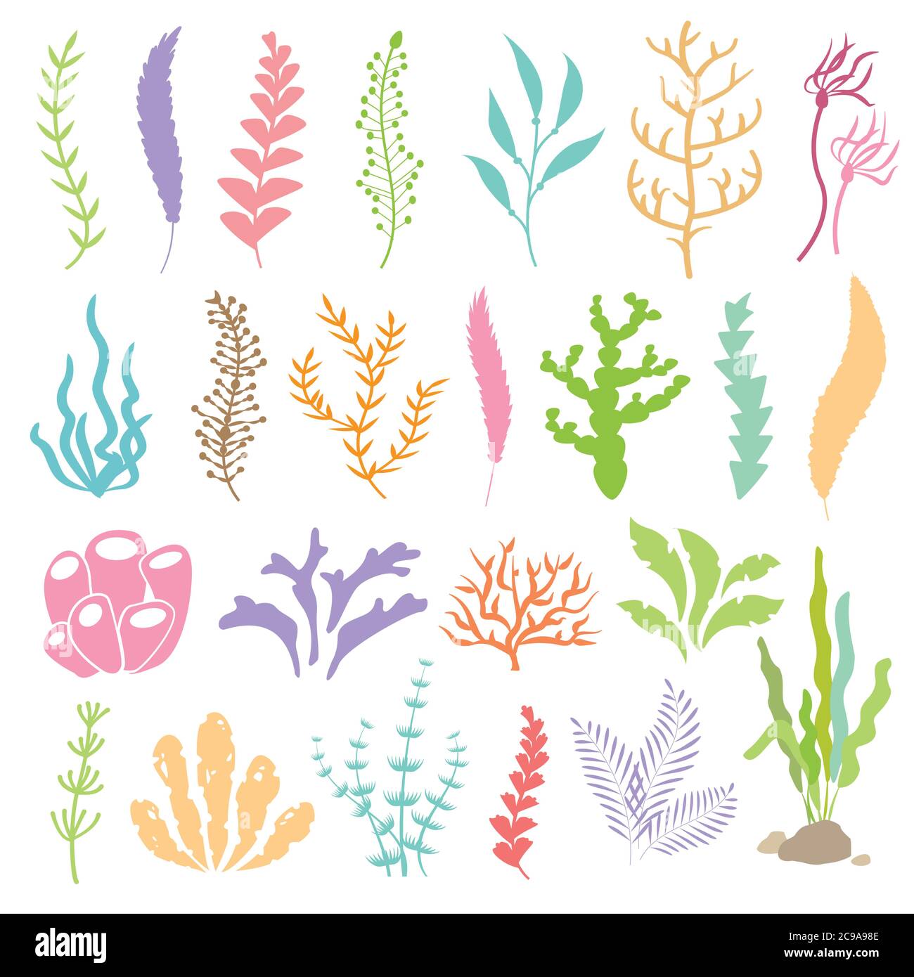 Illustrazione vettoriale delle alghe. Piante di mare e acquari alghe set. Isolato su sfondo bianco. Illustrazione Vettoriale