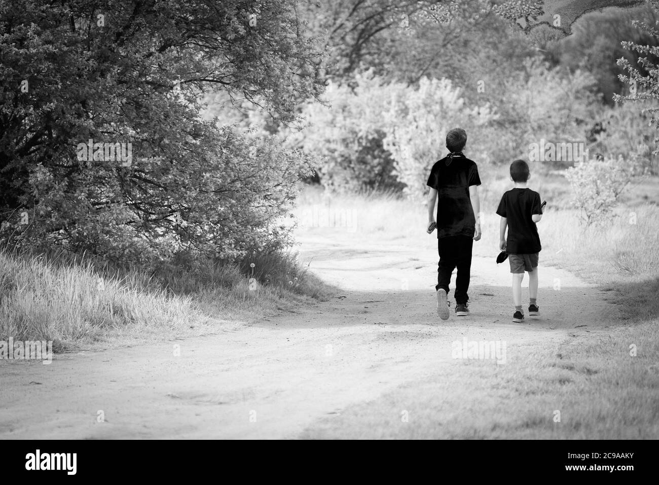 Vista posteriore di due fratelli che camminano su una strada sterrata, immagine a infrarossi in bianco e nero Foto Stock