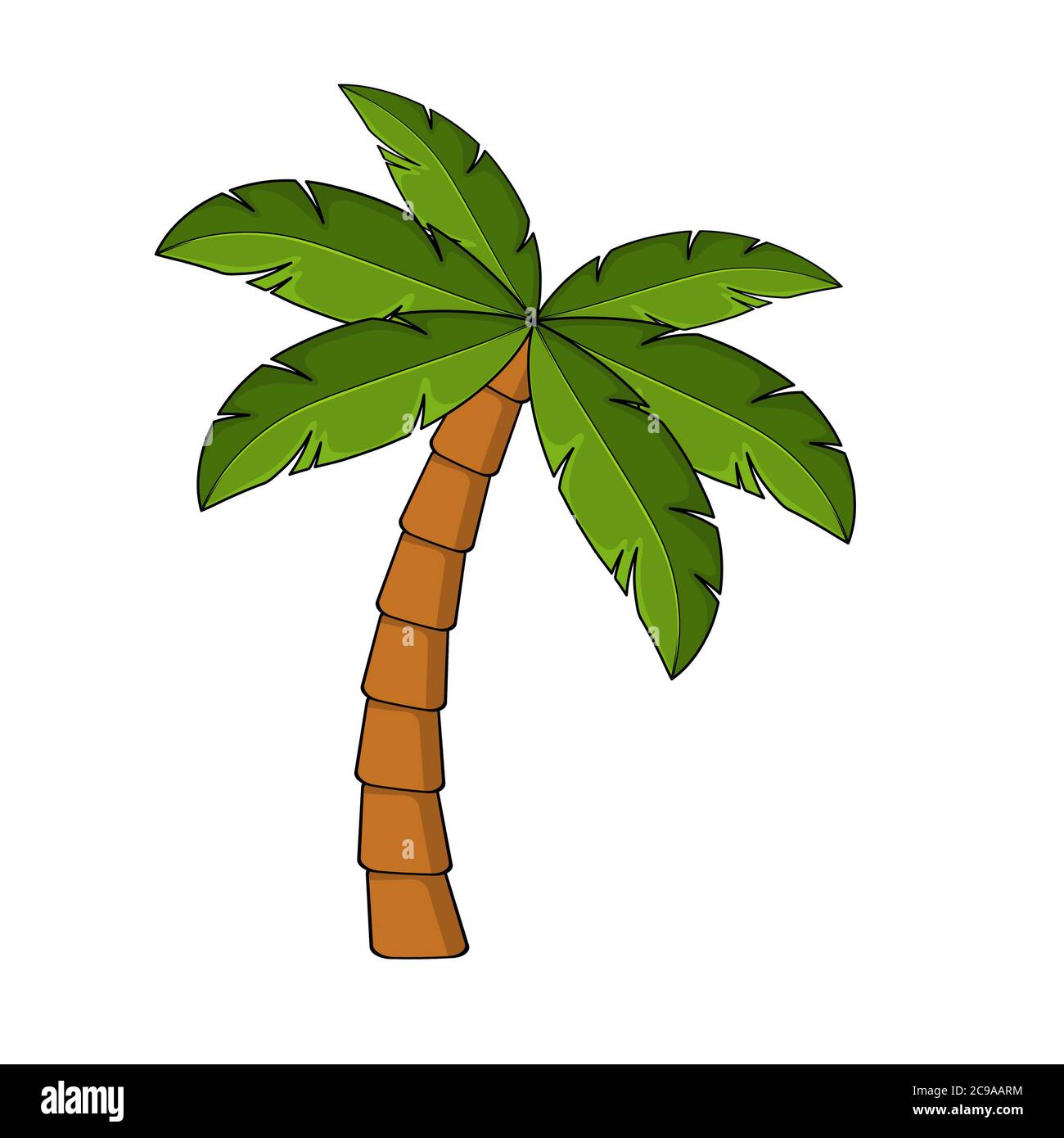 Cartoni animati di palma isolati su bianco. Singola clip per palmo. Modello per poster o cartolina. Elemento grafico per illustrazioni tropicali ed esotiche. Un alto Illustrazione Vettoriale