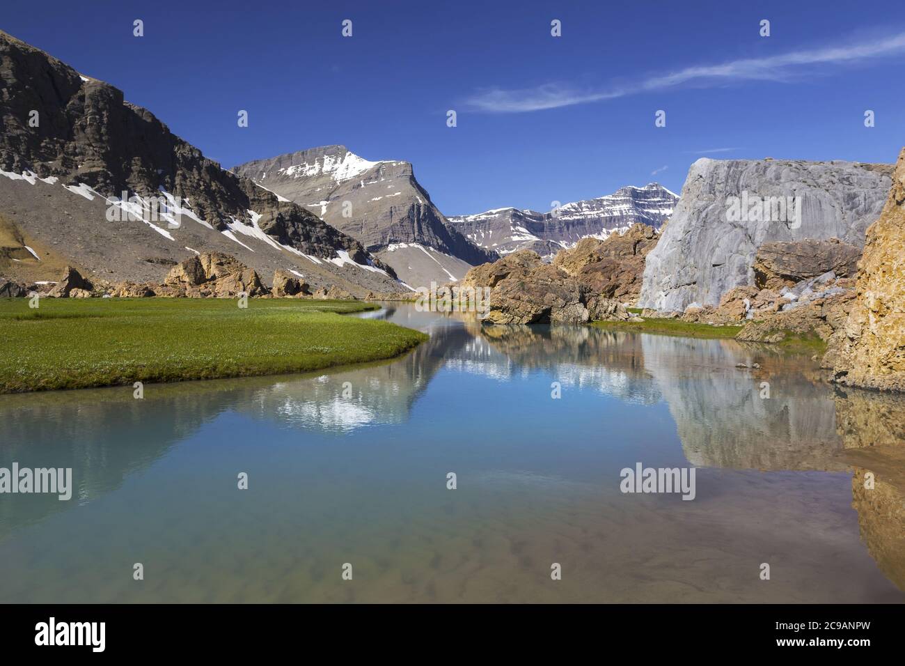 Calma Brazeau Canyon River Bank Water Green Alpine Meadow Natural Parkland. Rocky Mountain Wilderness Landscape, Jasper National Park, Alberta Canada Foto Stock