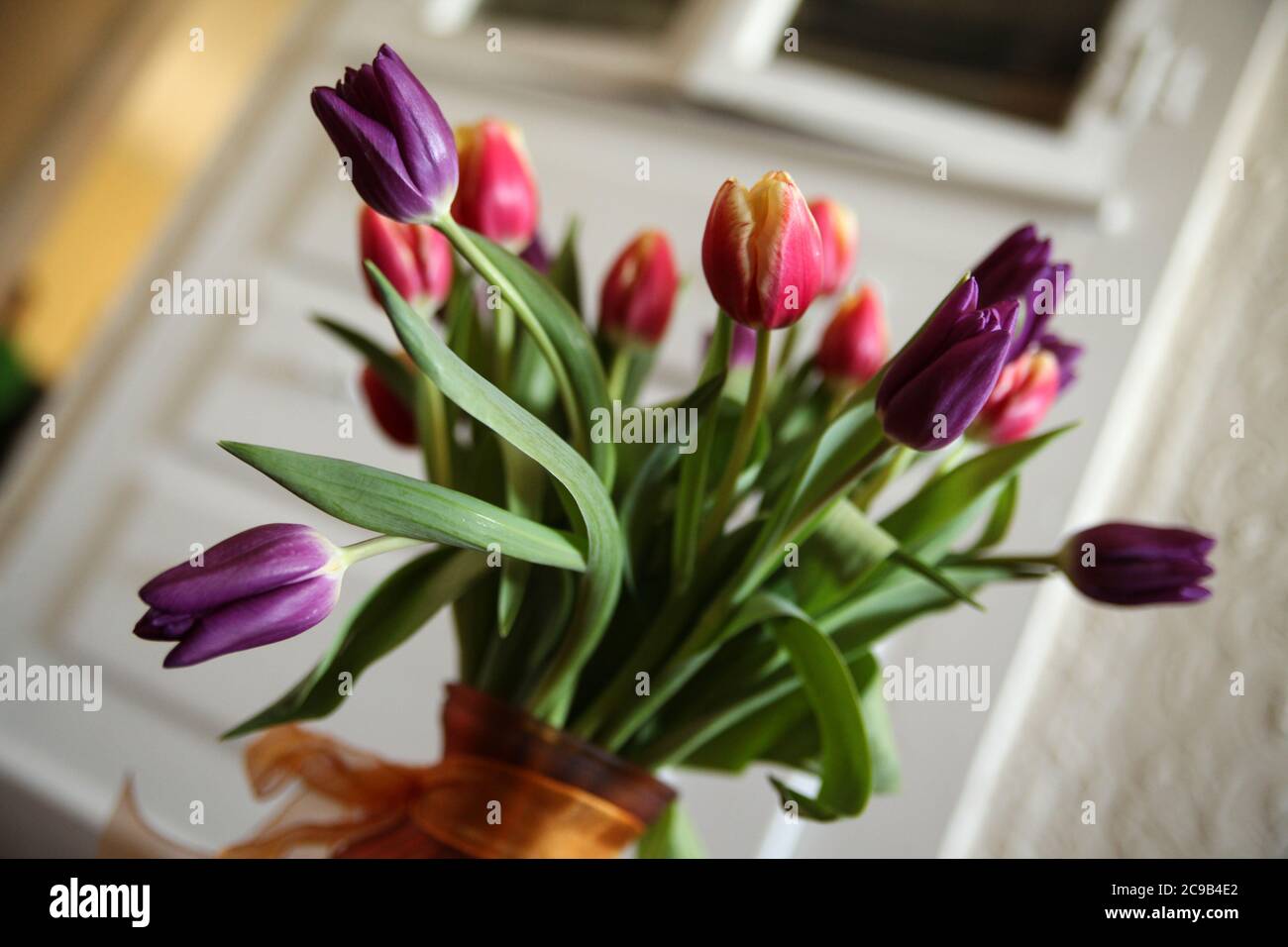 Tulipani nel vaso Foto Stock