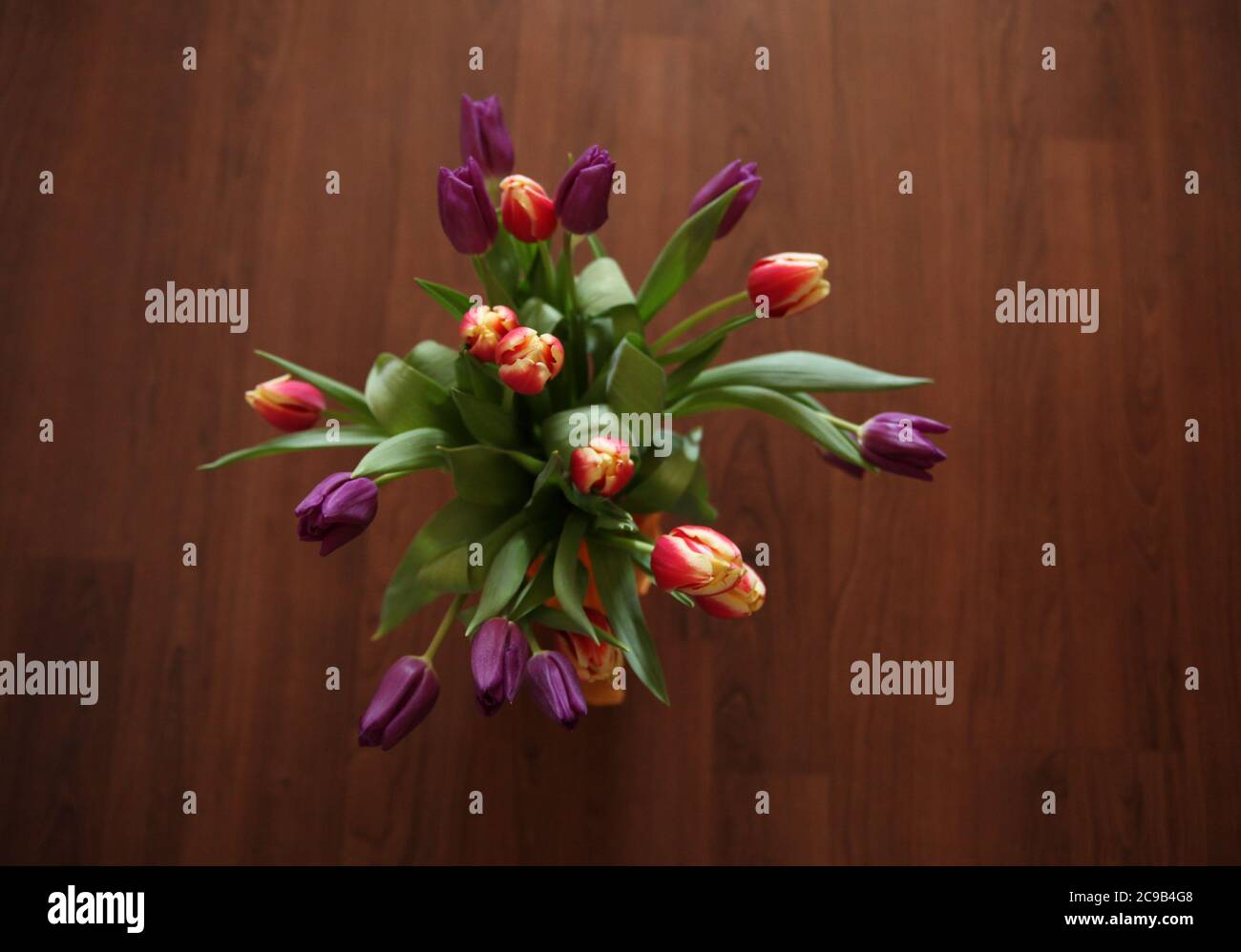 Tulipani colorati nel vaso sul pavimento di legno duro Foto Stock