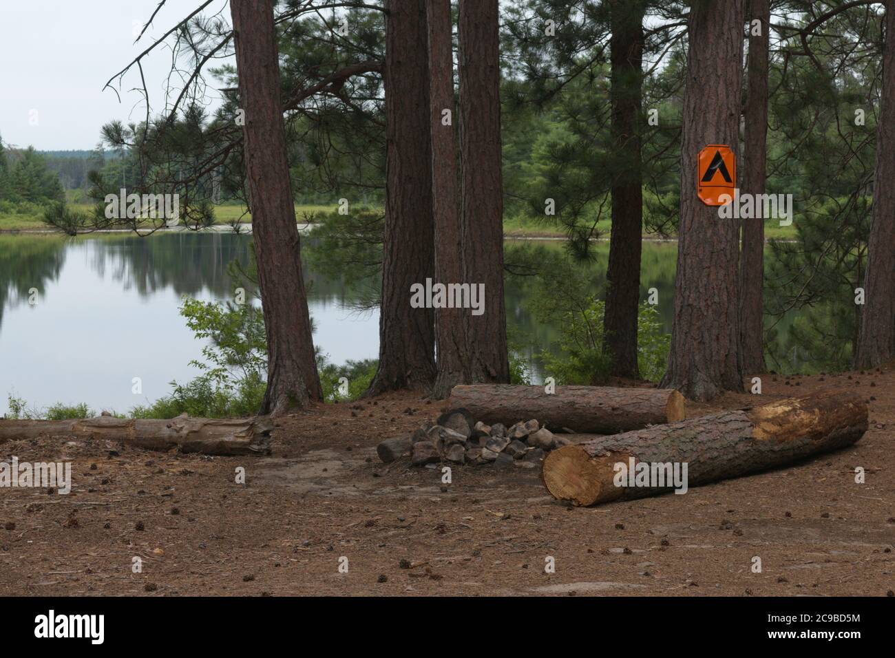 Campo pubblico con fossa antincendio e tronchi Foto Stock