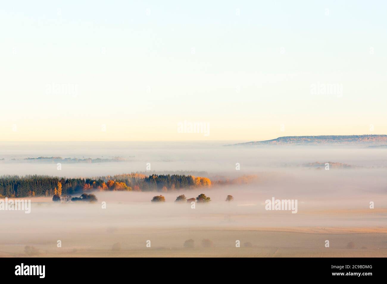 Mattina nebbia sulla pianura con una foresta con colori autunnali Foto Stock