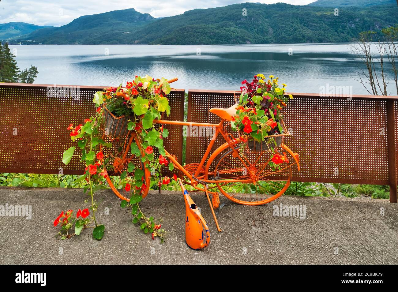 Saudafjorden. Svandalsbossen caduta. Bicicletta come vaso di fiori. Bicicletta colorata in fiore. Røldal strada. Norvegia, regione di Stavanger, Rogaland, Ryfylke sceni Foto Stock