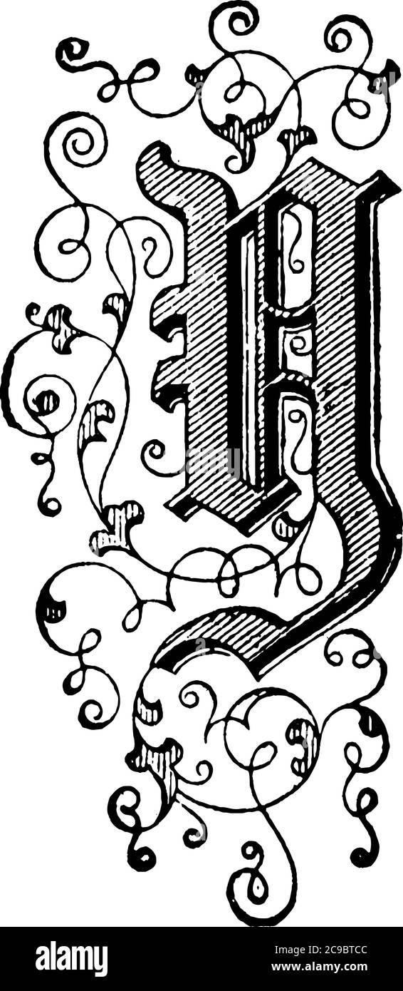 Una rappresentazione tipica della lettera, 'maiuscola-Y', scritta floreale ornamentale. L'alfabeto è decorato ed è rappresentato in una forma elegante, tinta Illustrazione Vettoriale