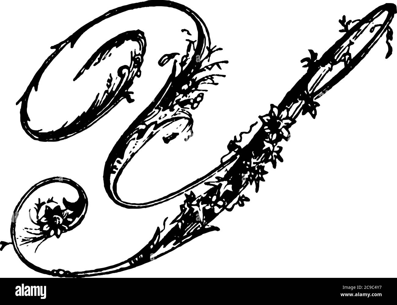 Una rappresentazione tipica della lettera, 'maiuscola-Y', sceneggiatura ornamentale. L'alfabeto è decorato ed è rappresentato in una forma elegante, linea d vintage Illustrazione Vettoriale