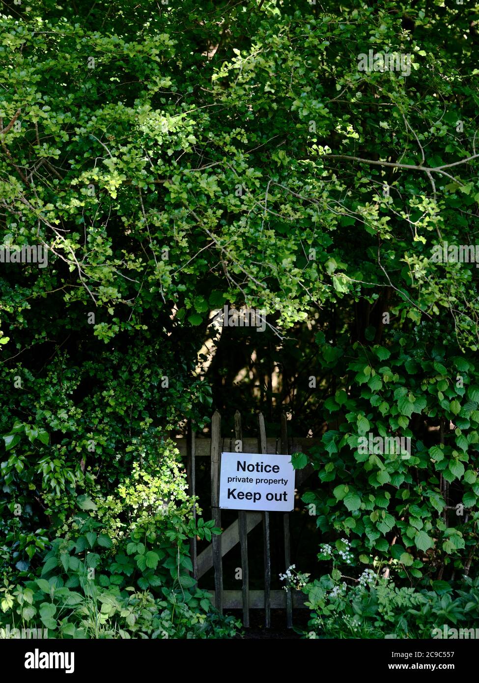 Un cartello di avviso di proprietà privata da tenere fuori su un cancello in un verde bosco estivo - natura da tenere fuori - terreno privato Foto Stock
