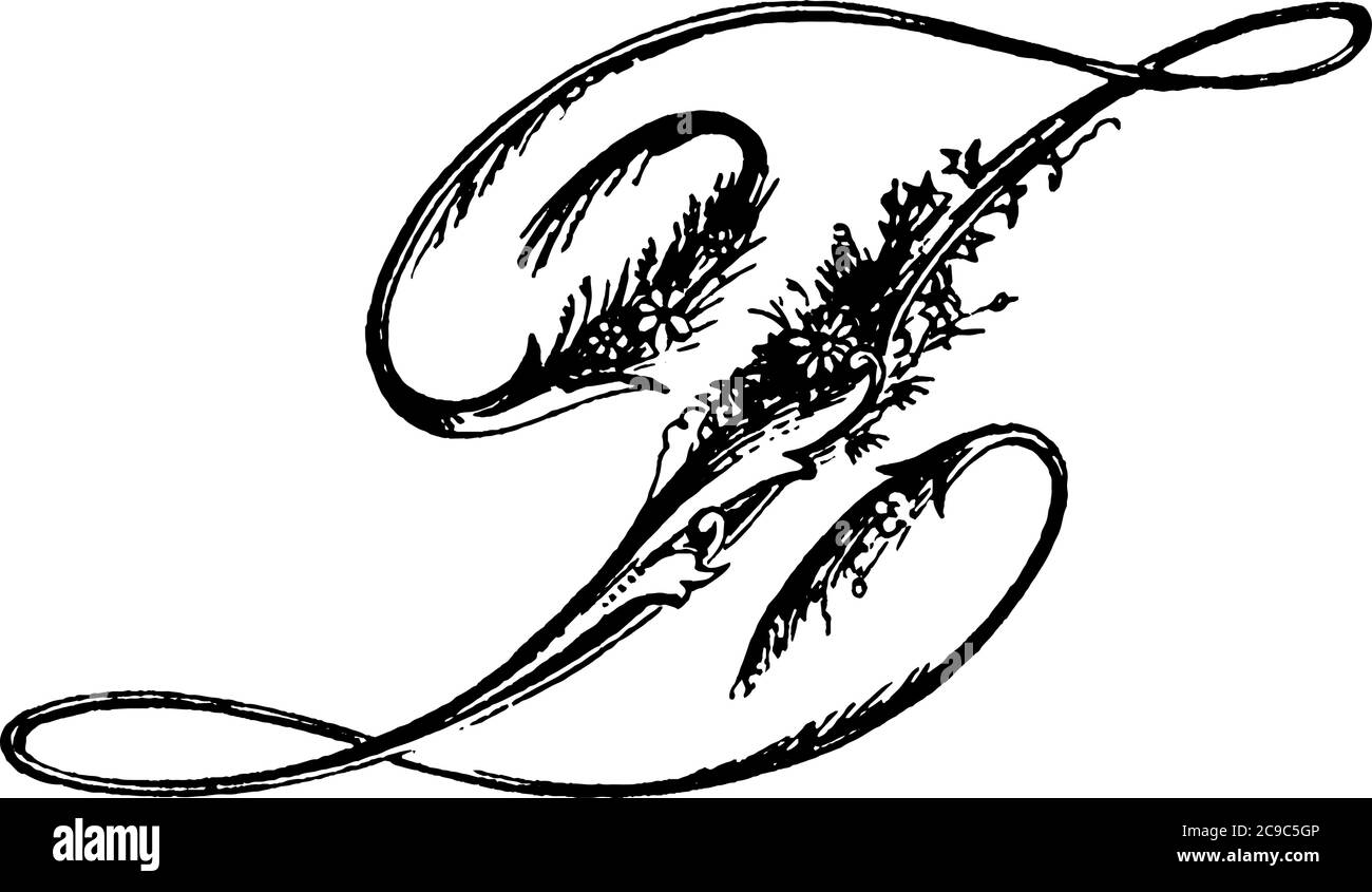 Una rappresentazione tipica della lettera, 'maiuscola-Z', sceneggiatura ornamentale. L'alfabeto è decorato ed è rappresentato in una forma elegante, linea d vintage Illustrazione Vettoriale