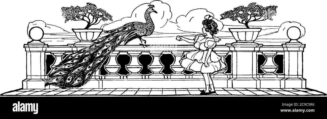 Una rappresentazione tipica di un pavone, che ha una coda puntata agli occhi e un treno di piume coperte, seduto sulla terrazza e una bambina che lo alimenta Illustrazione Vettoriale