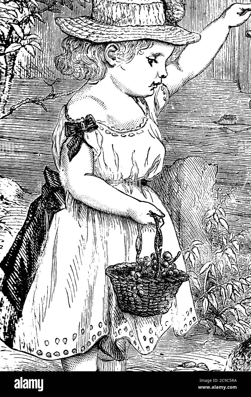 Una bambina in schiuma fantasia e indossare un cappello, tenendo un cesto di frutta con la sua mano destra e sollevando la sua mano sinistra, vintage linea di disegno o incisione Illustrazione Vettoriale