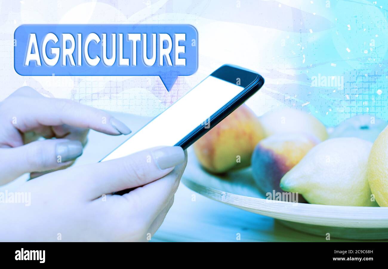 Testo di scrittura di parole Agricoltura. Foto di business che mostra pratica coltivare il terreno, produrre raccolto, allevare bestiame moderni gadget con bianco di Foto Stock