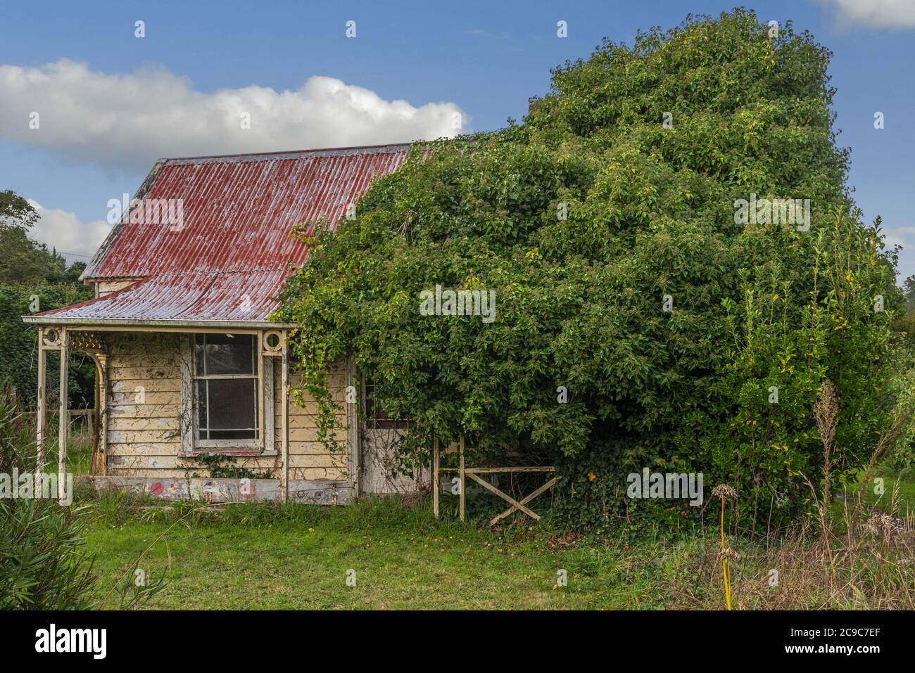Una casa in legno sopravfatta, abbandonata all'inizio del XX secolo della Nuova Zelanda, un esempio di decadimento urbano. Foto Stock