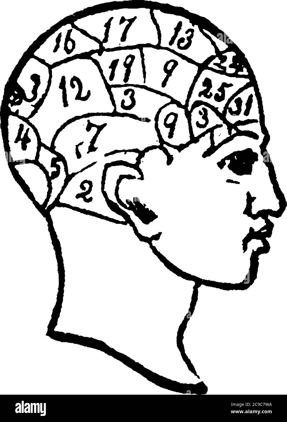 La Phroenologia è una pseudoscienza che prevede la misurazione di urti sul cranio per predire i tratti mentali, il disegno di linee vintage o l'incisione illustratore Illustrazione Vettoriale