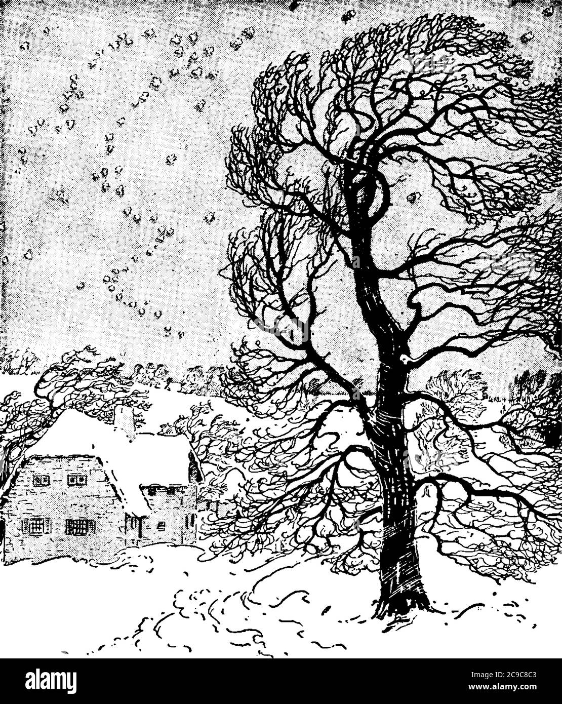 Una vista panoramica della notte invernale. L'inverno è la stagione più fredda dell'anno nelle zone polari e temperate. Qui è mostrato l'albero e la terra coperti con Illustrazione Vettoriale