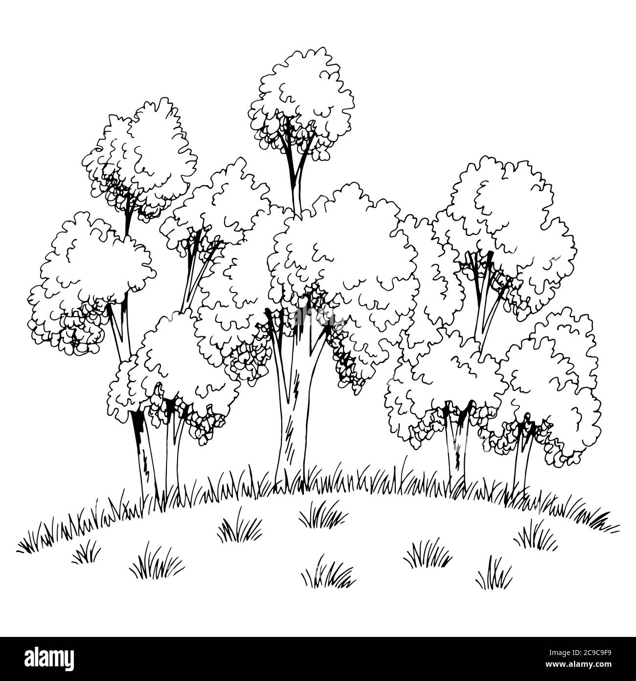 Grove sulla foresta di alberi di collina grafico di schizzo bianco nero illustrazione vettore Illustrazione Vettoriale