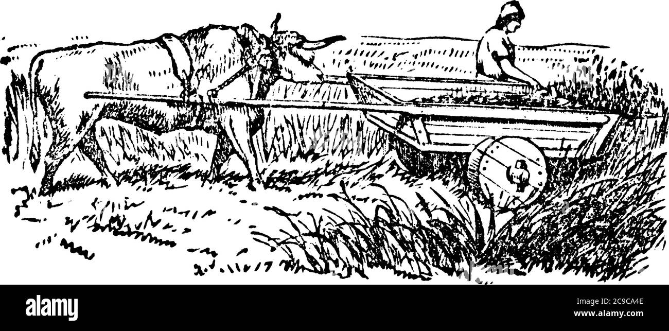 Un mietitore che raccoglie i raccolti e che fa la raccolta, con l'aiuto di un'antica macchina di raccolta, disegno di linea d'annata o illustrazione di incisione. Illustrazione Vettoriale
