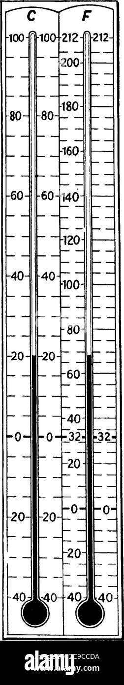 Si tratta di un termometro clinico con scala Fahrenheit e Celsius utilizzato da medici e professionisti. Viene utilizzato per il controllo del corpo umano t Illustrazione Vettoriale