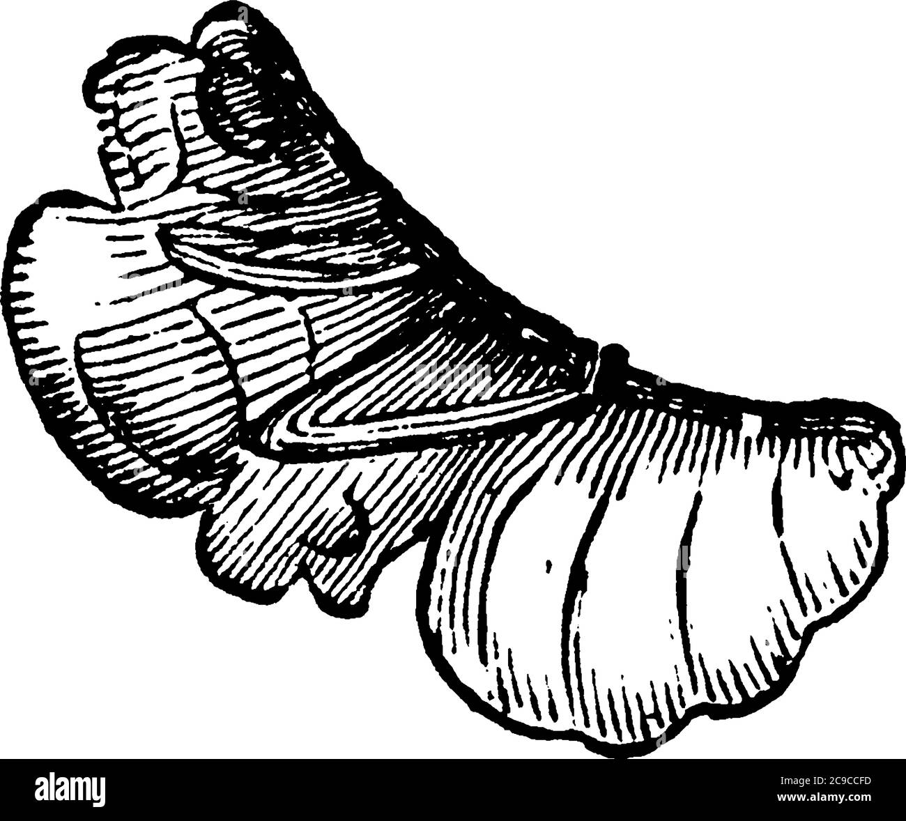 Il palcoscenico puppale di pifosa, su mora, disegno di linea vintage o illustrazione di incisione. Illustrazione Vettoriale