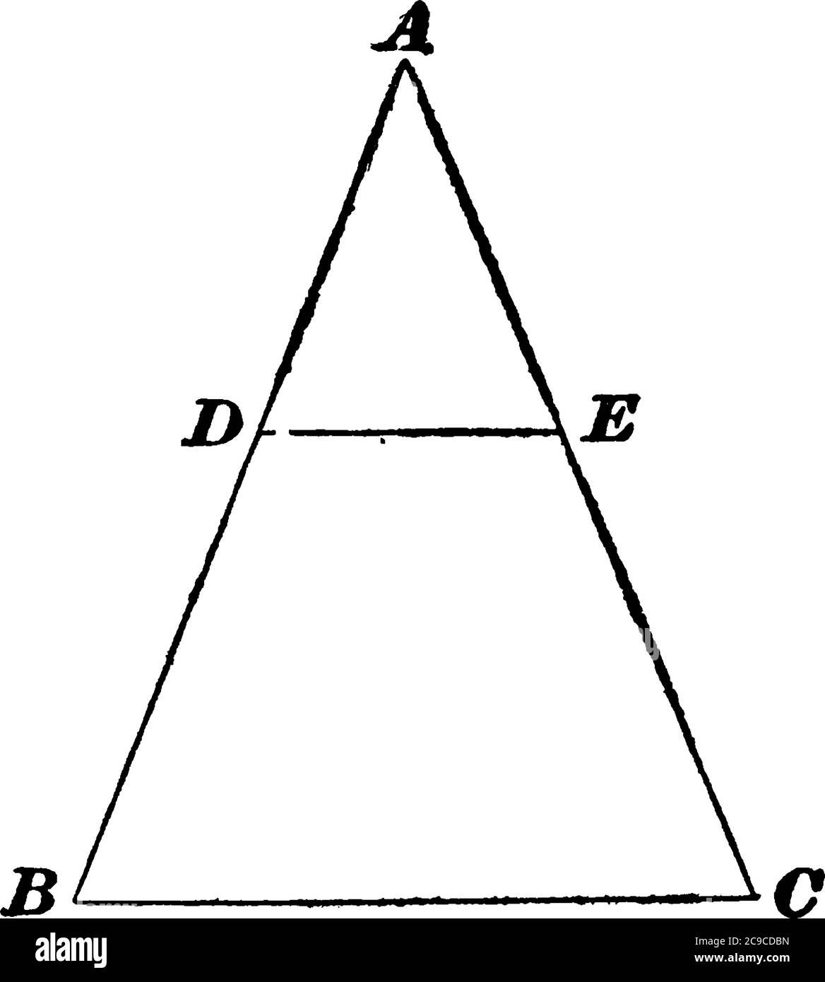 Un diagramma in cui la struttura completa dello scheletro umano che è definita chiaramente, disegno di linea vintage o illustrazione di incisione. Illustrazione Vettoriale