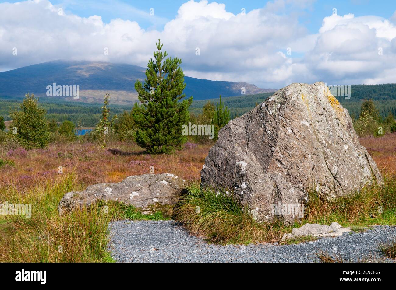 La pietra di Robert Bruce su Raploch Moss nelle Galloway Hills Foto Stock