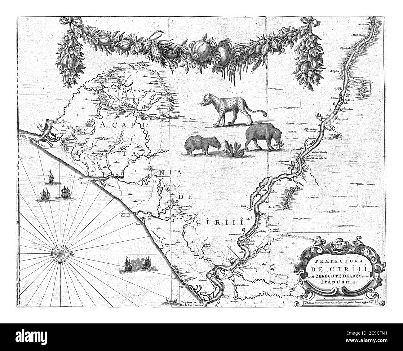Mappa della costa del Brasile, in fondo alla foce del Rio Sao Francisco. Nel paese alcune specie animali autoctone e un festone con frutta, Foto Stock