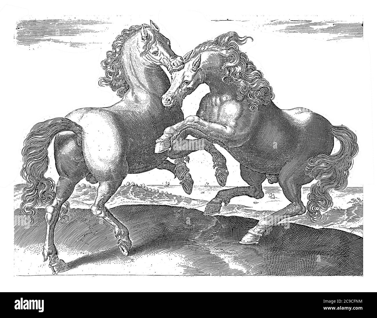Due cavalli da combattimento, anonimi, dopo Hieronymus Wierix, dopo Jan van der Straet, 1624 - prima di 1648 due cavalli da combattimento in un paesaggio, vendemmia engr Foto Stock