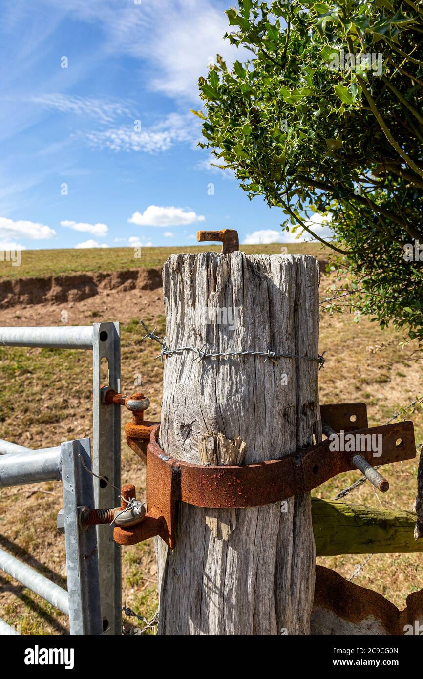 Ovest - direzione, Ranch, Fence post, campo agricolo, erba, Fattoria, grano, Paesaggio - paesaggio, campo di fallow, scena rurale, Post - struttura, Foto Stock