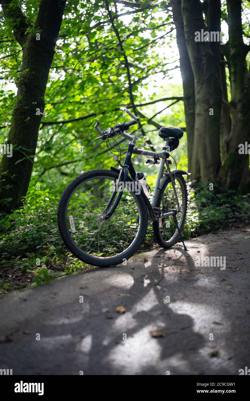 Bicicletta argentata su un percorso ciclabile a superficie contro verde foglia sfondo, casting ombra, Inghilterra Regno Unito. Palestra, ciclismo, all'aperto, estate, bicicletta. Foto Stock