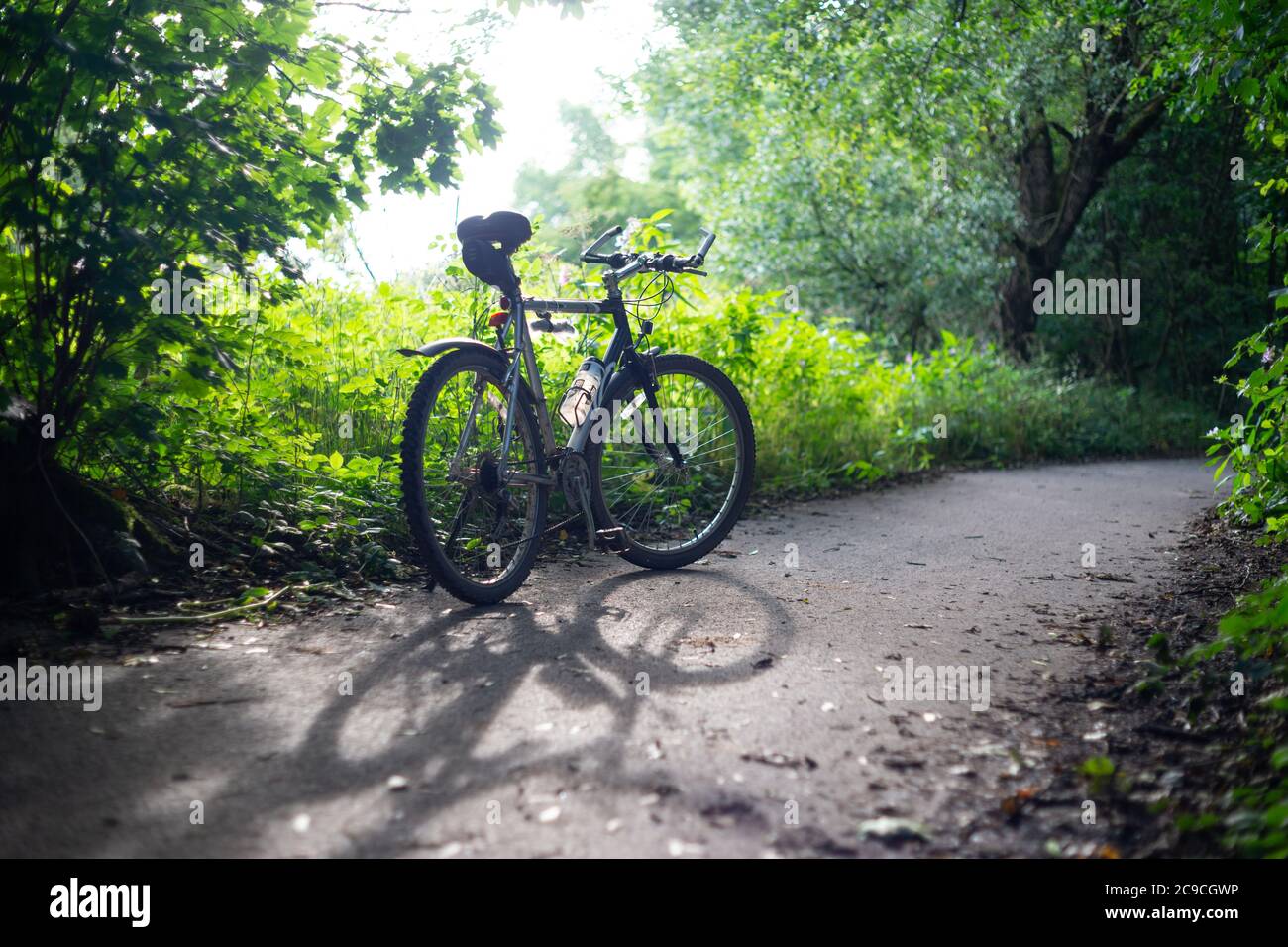 Bicicletta argentata su un percorso ciclabile a superficie contro verde foglia sfondo, casting ombra, Inghilterra Regno Unito. Palestra, ciclismo, all'aperto, estate, bicicletta. Foto Stock