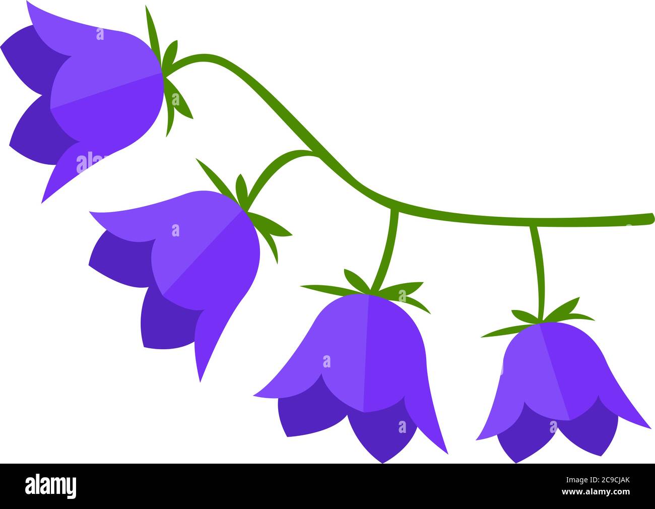 Fiore di campana, illustrazione, vettore su sfondo bianco Illustrazione Vettoriale