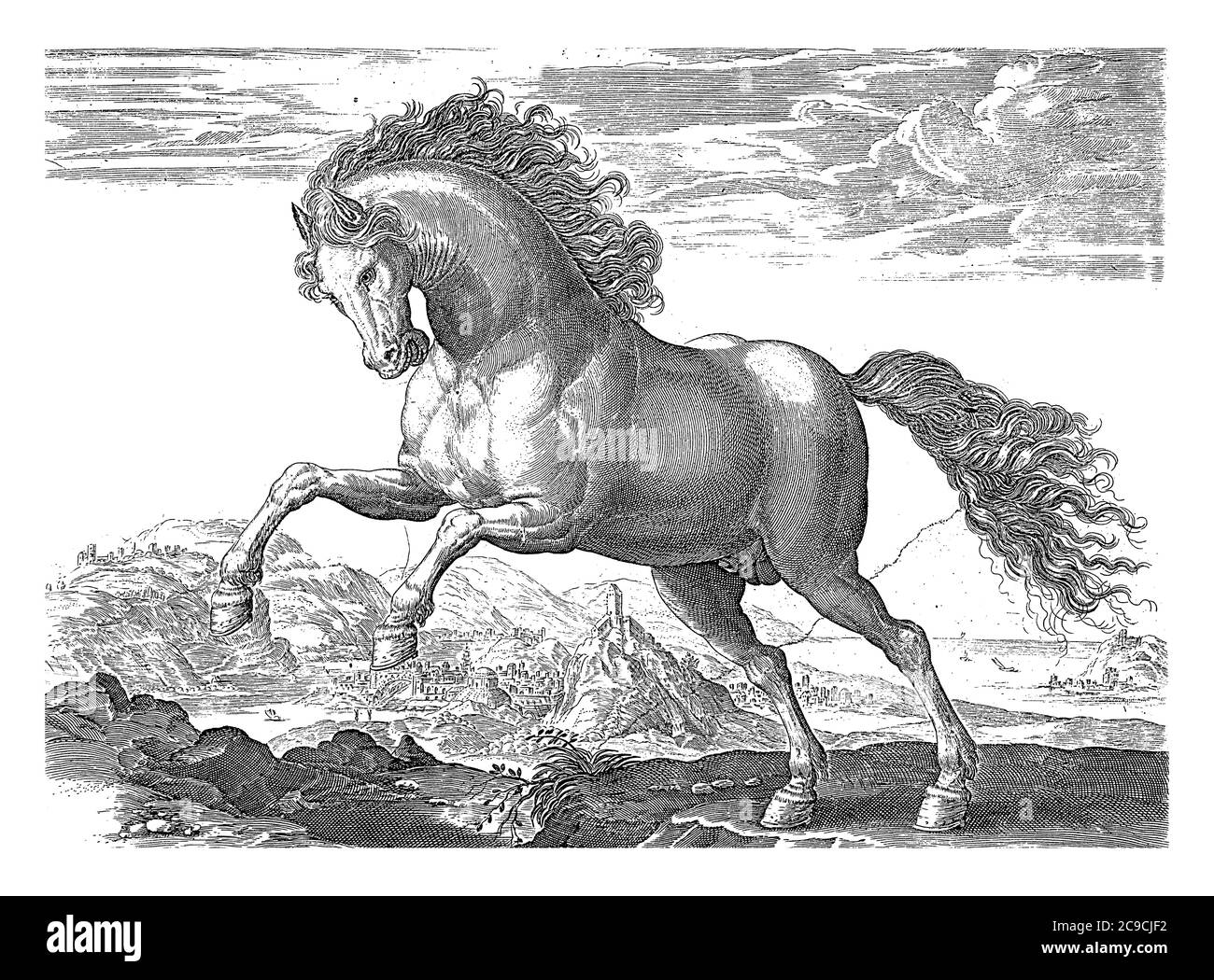Wild Horse, anonimo, dopo Hendrick Goltzius, dopo Jan van der Straet, 1624 - prima del 1648 UN cavallo selvatico, che si leva a sinistra. Sullo sfondo a c Foto Stock