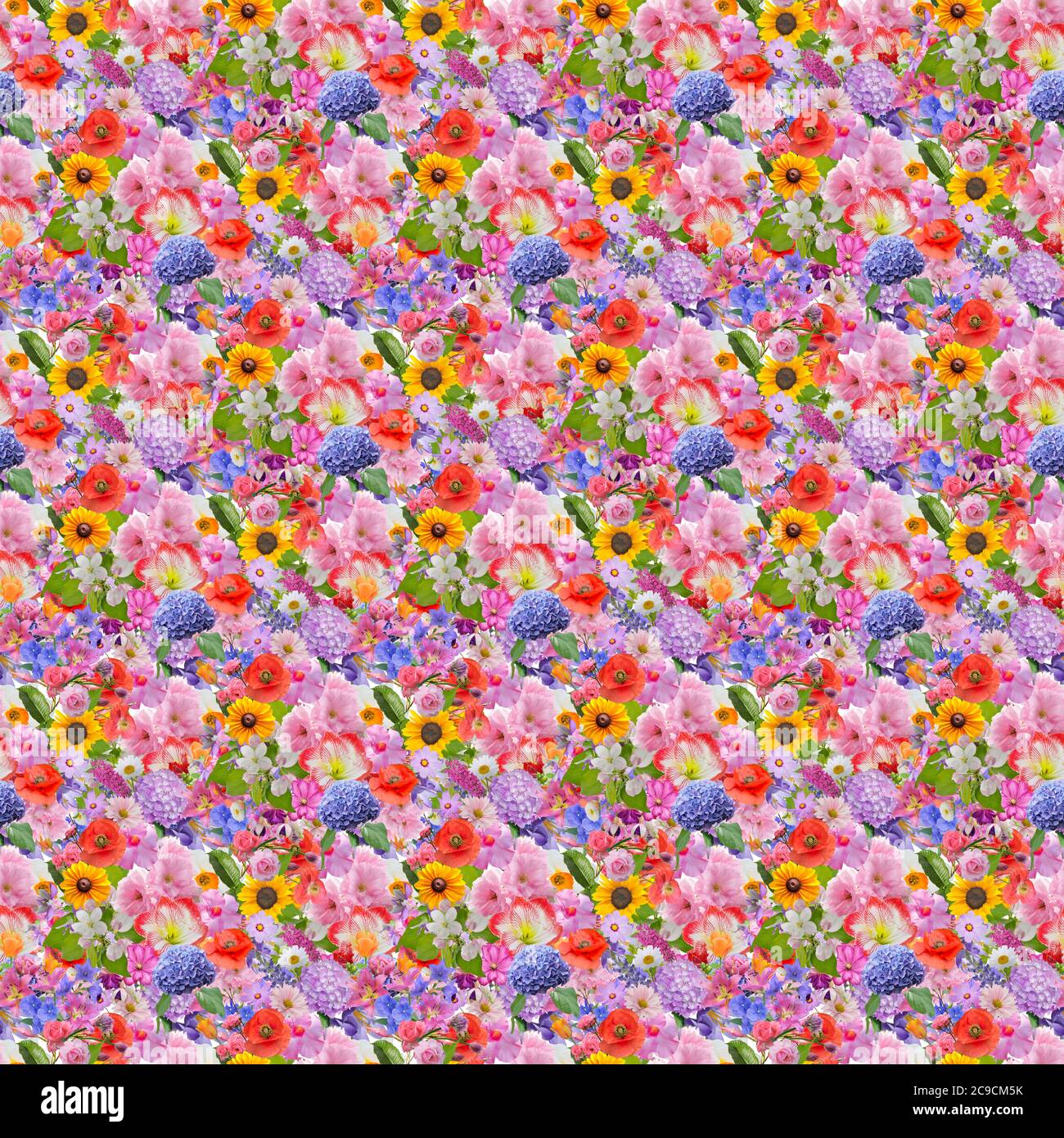 Colorato design floreale senza cuciture per lo sfondo Foto Stock