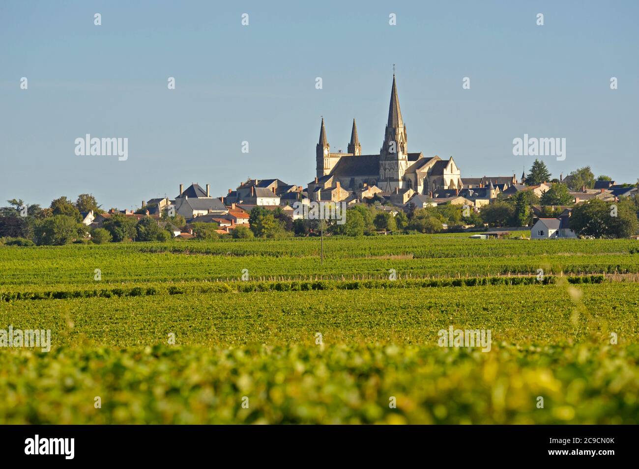 La città di le Puy-Notre-Dame Main-et Loire Francia Foto Stock