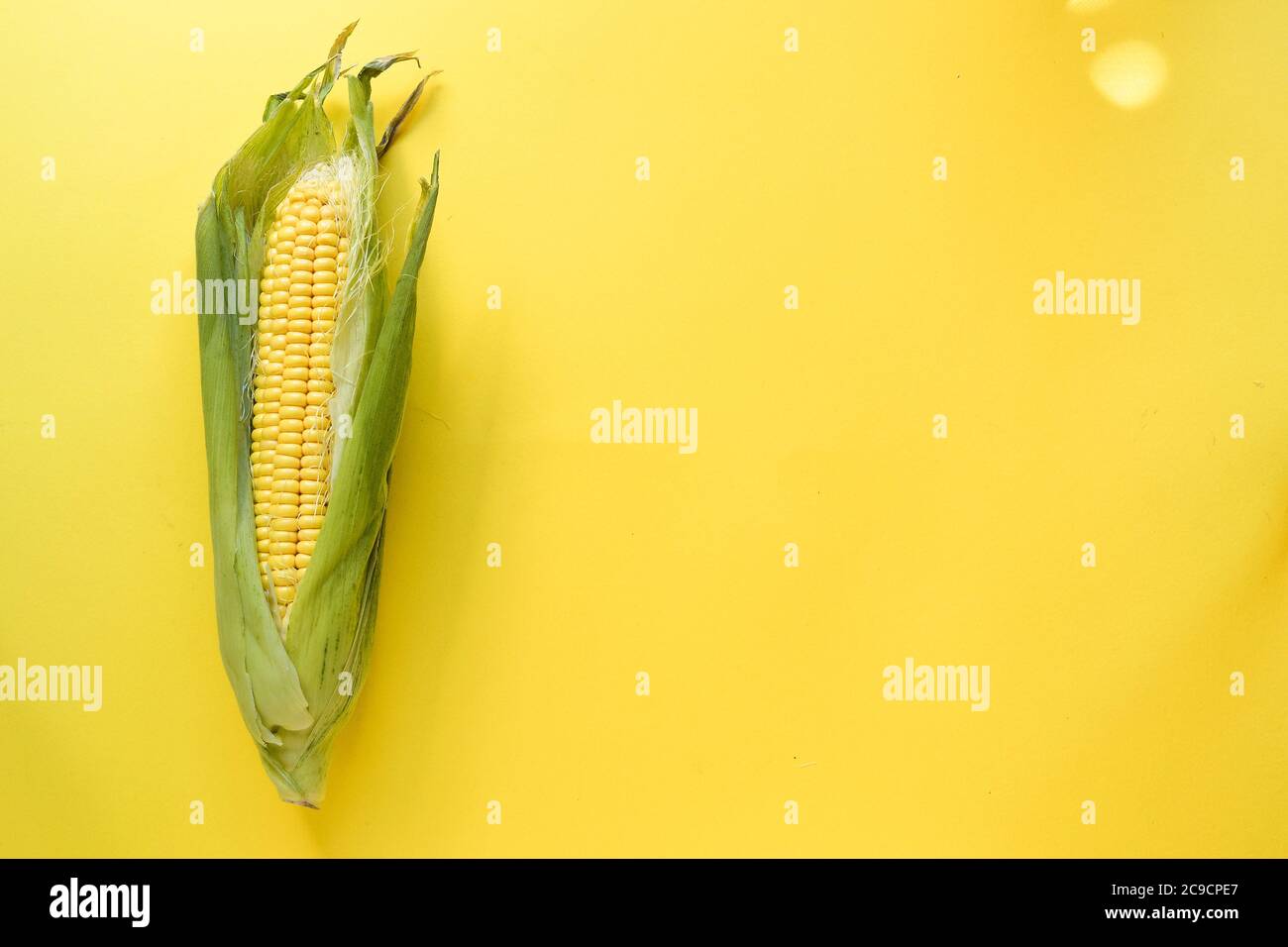 Un mais su sfondo giallo. Concetto di cibo minimo. Vista dall'alto. Foto Stock