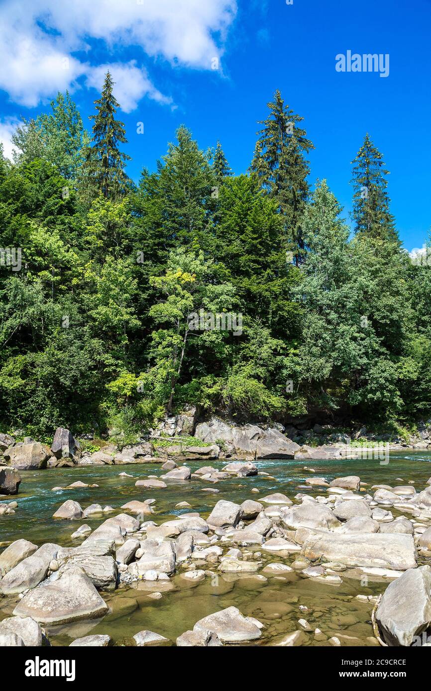 Il fiume di montagna Prut in Yaremche, Carpazi, Ucraina Foto Stock