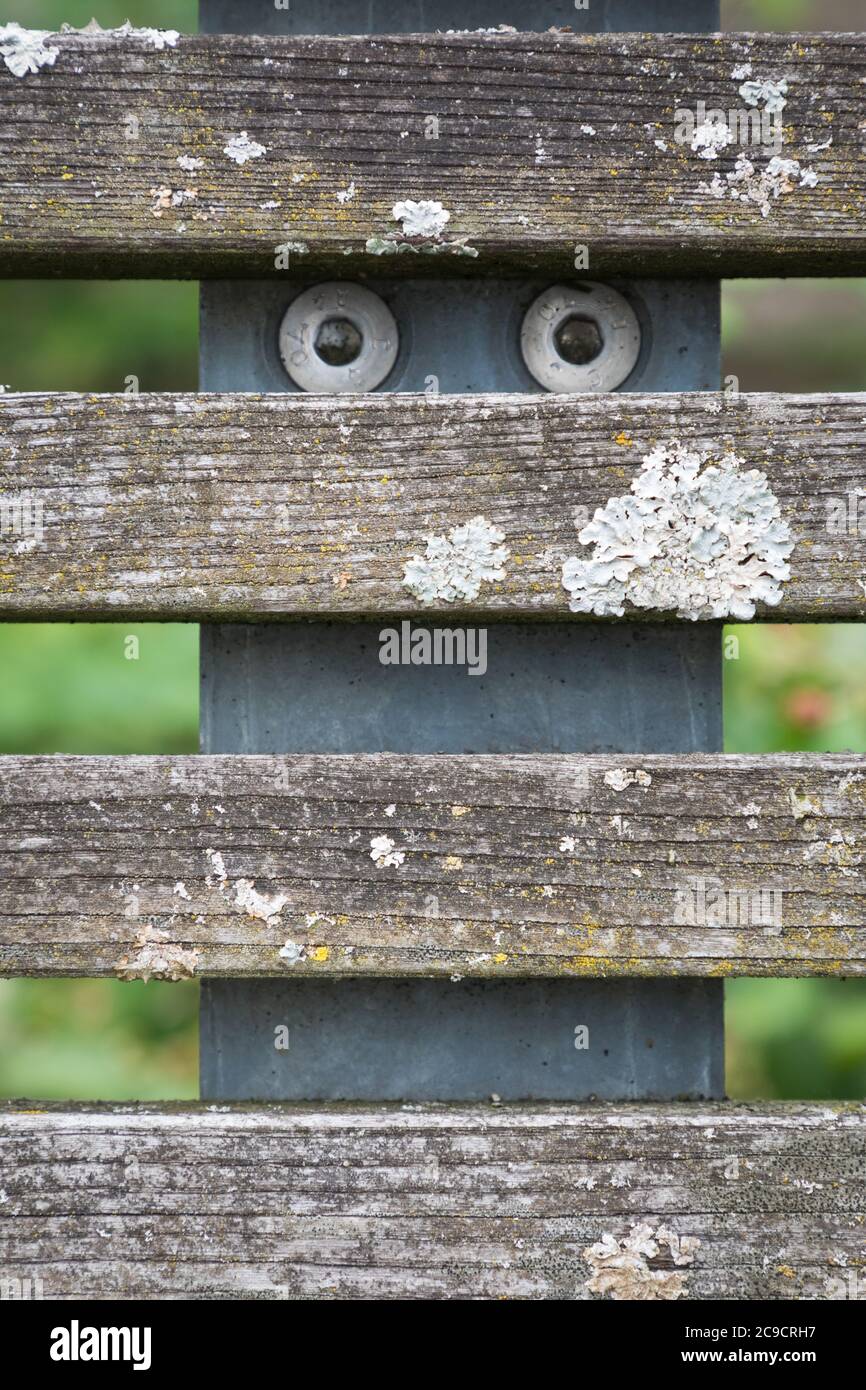 Parte di una panca di legno che assomiglia ad un viso Foto Stock