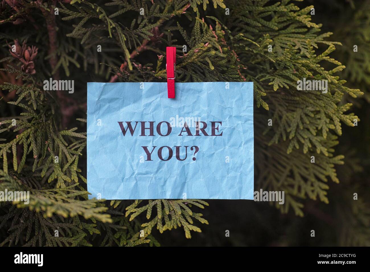 Domanda su chi sei appeso su un albero. Primo piano. Immagine concettuale. Foto Stock