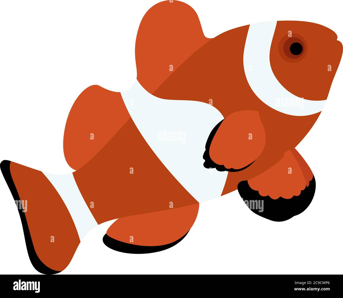 Clownfish, illustrazione, vettore su sfondo bianco Illustrazione Vettoriale