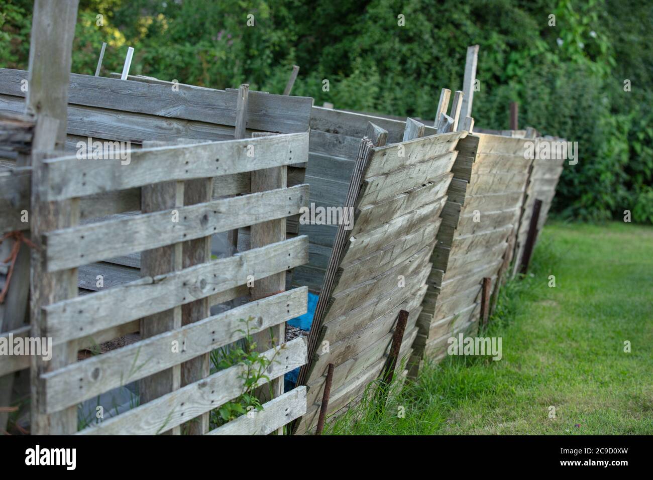 Bidoni di composto scruffy fatti di pallet di legno riciclato visti sull'assegnazione contro uno sfondo verde offuscato in estate. Foto Stock