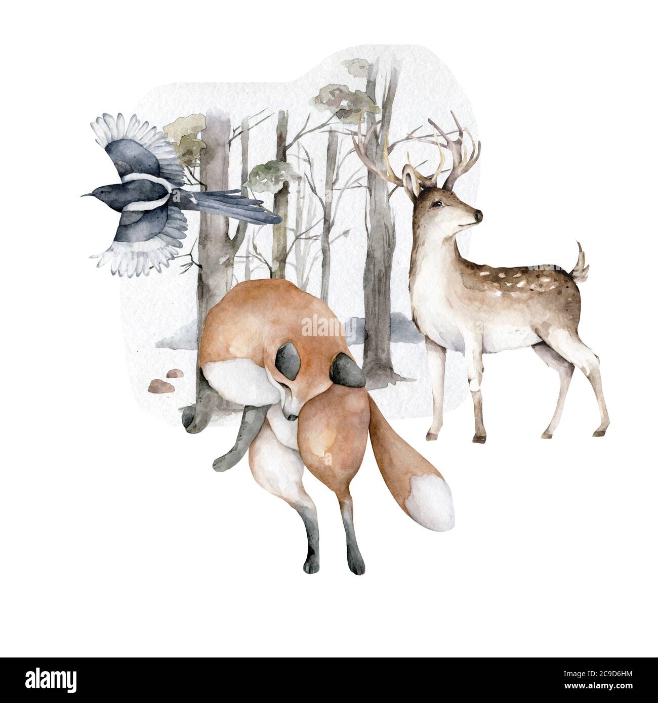animali selvatici che vivono nella foresta, volpe e cervi, mammiferi e uccelli. Acquerello disegnato a mano Foto Stock